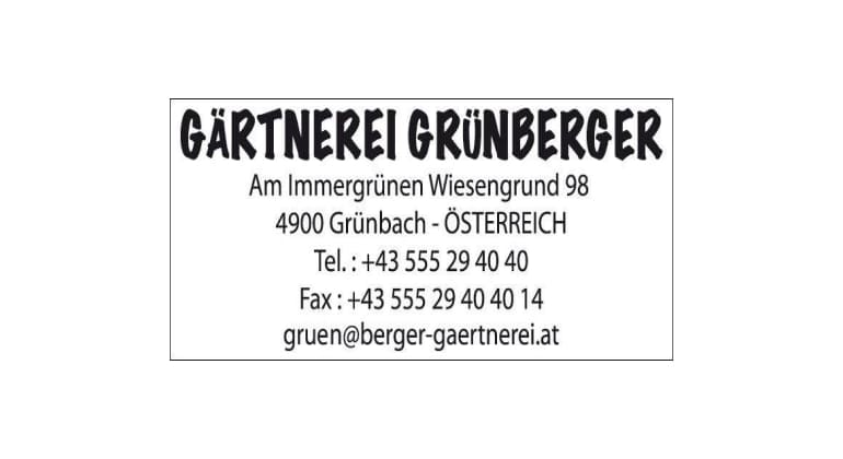 Colop Expert Line 3300